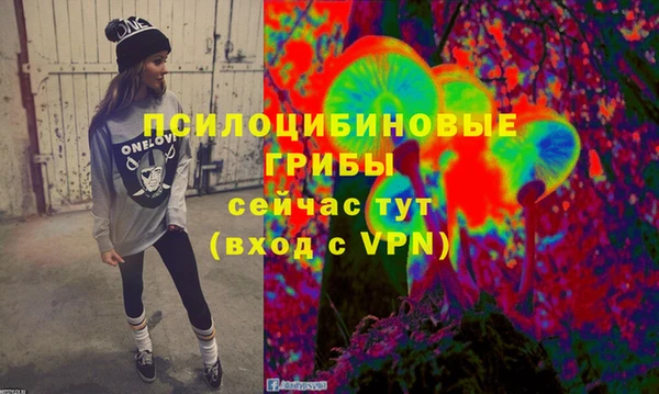 не бодяженный Алексин