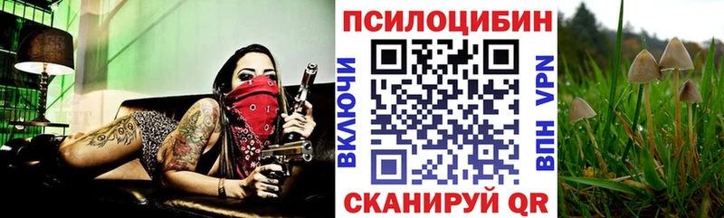Галлюциногенные грибы GOLDEN TEACHER Ясный